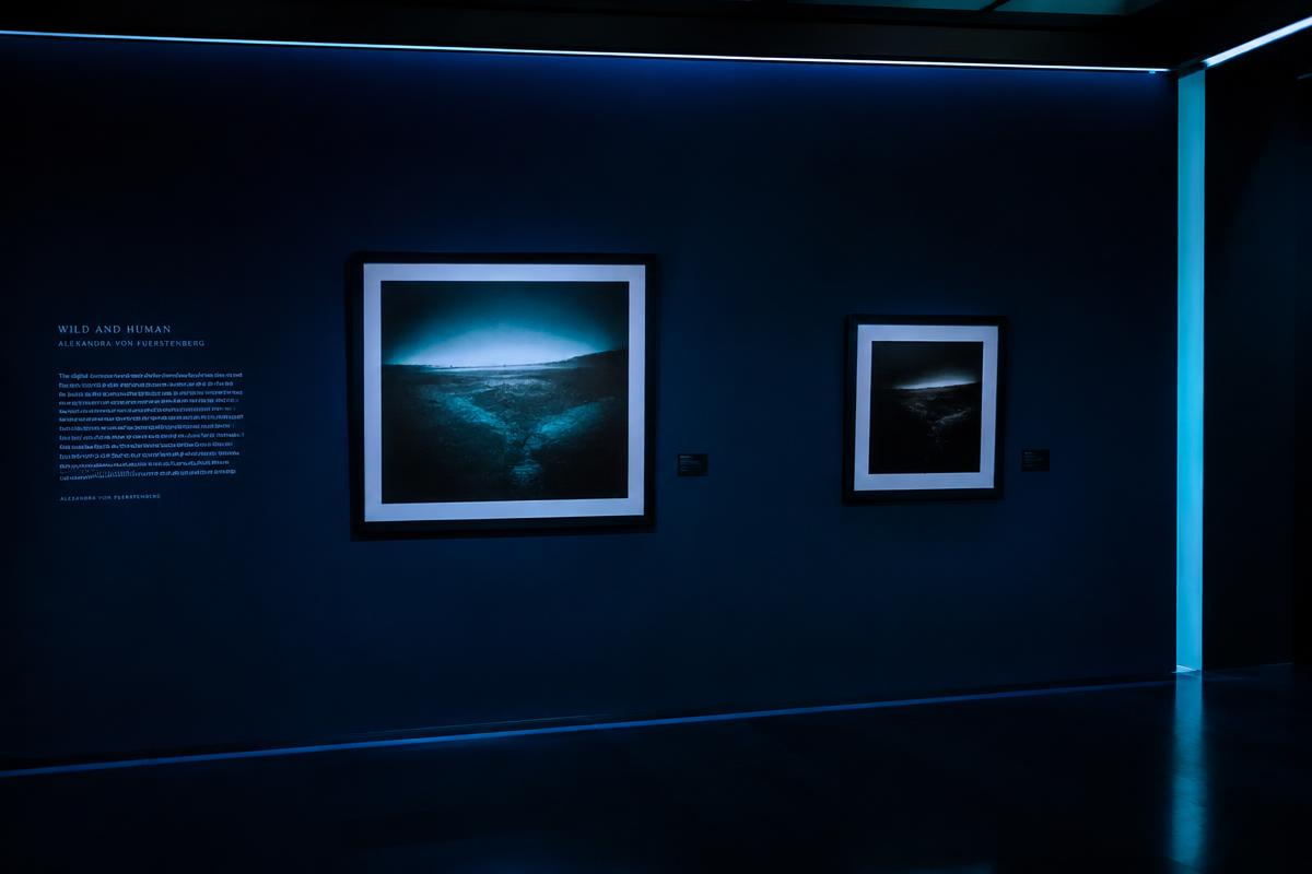 Studio storefront photography